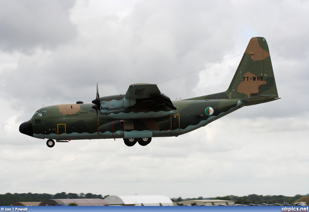 7T-WHE, Lockheed C-130H Hercules, Algerian Air Force