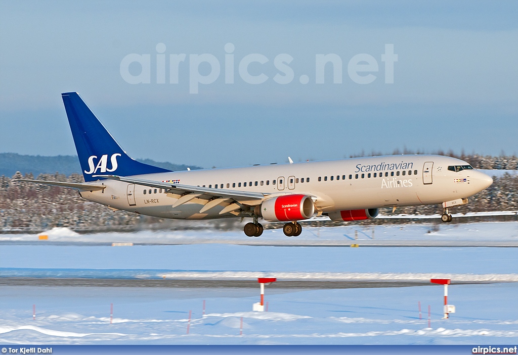 LN-RCX, Boeing 737-800, Scandinavian Airlines System (SAS)