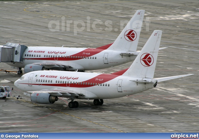 7T-VJT, Boeing 737-600, Air Algerie