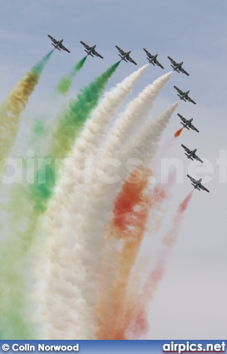 Aermacchi MB-339.PAN, Italian Air Force