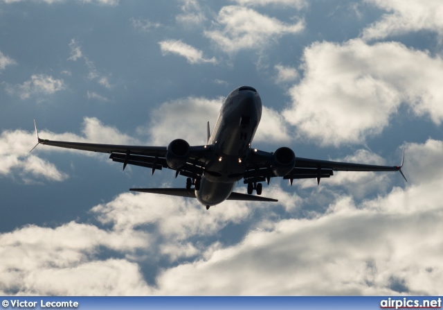 C-FLSW, Boeing 737-800, Smart Wings