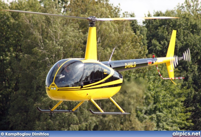 D-HALG, Robinson R44, Private