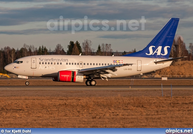 LN-RRD, Boeing 737-600, Scandinavian Airlines System (SAS)