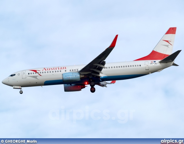 OE-LNJ, Boeing 737-800, Austrian