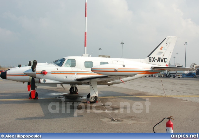 SX-AVC, Piper PA-31-T Cheyenne, 3D Inc