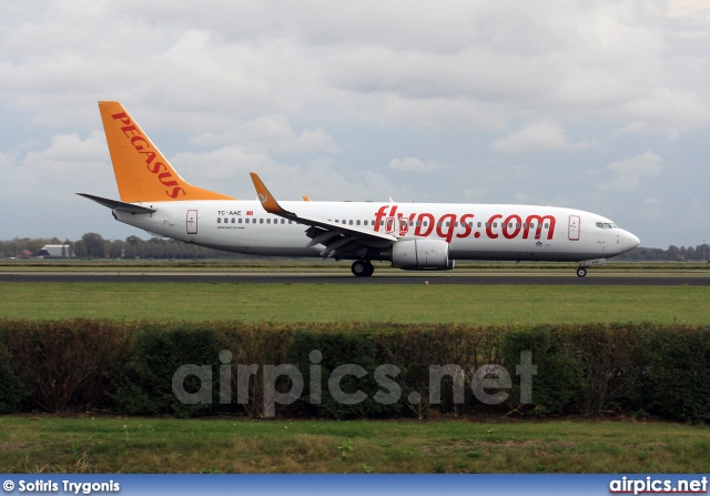 TC-AAE, Boeing 737-800, Pegasus Airlines