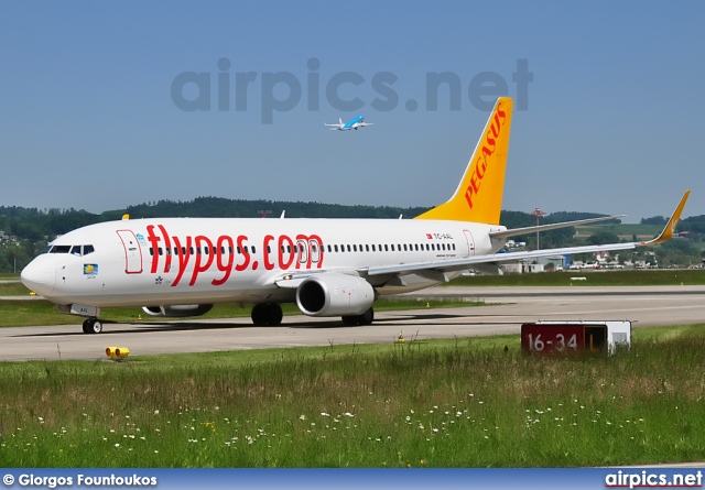 TC-AAL, Boeing 737-800, Pegasus Airlines