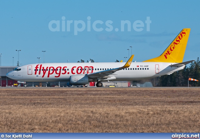 TC-AGP, Boeing 737-800, Pegasus Airlines