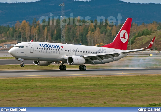 TC-JHF, Boeing 737-800, Turkish Airlines