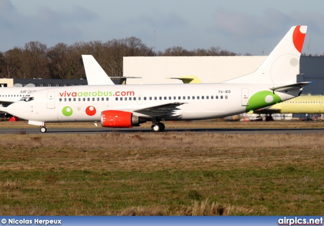 TS-IED, Boeing 737-300, Viva Aerobus