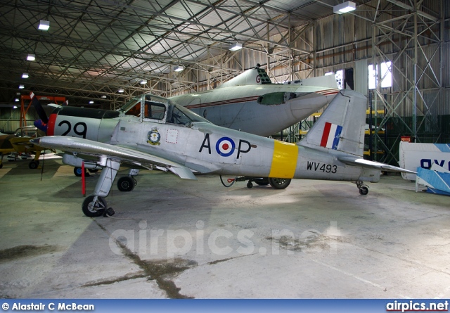 WV493, Percival Provost T.1, Royal Air Force