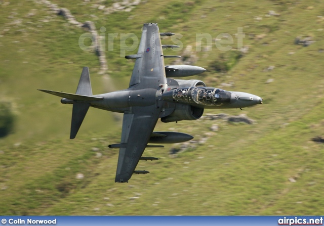 ZH661, British Aerospace Harrier T.12, Royal Air Force