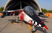 15206, Dassault-Dornier Alpha Jet, Portuguese Air Force