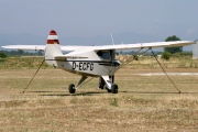 D-ECFG, Piper PA-22-108 Colt, Private