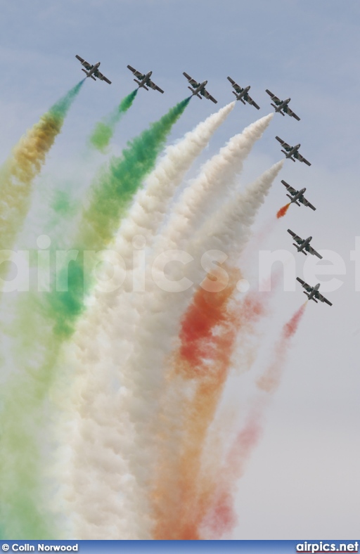 Aermacchi MB-339.PAN, Italian Air Force