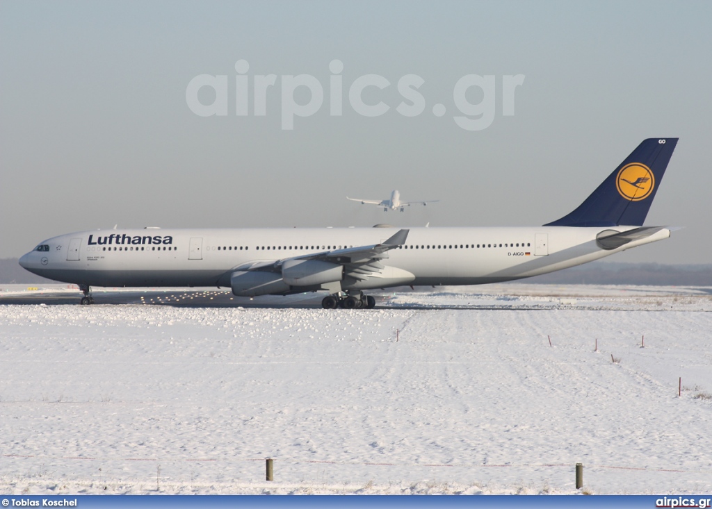 D-AIGO, Airbus A340-300, Lufthansa