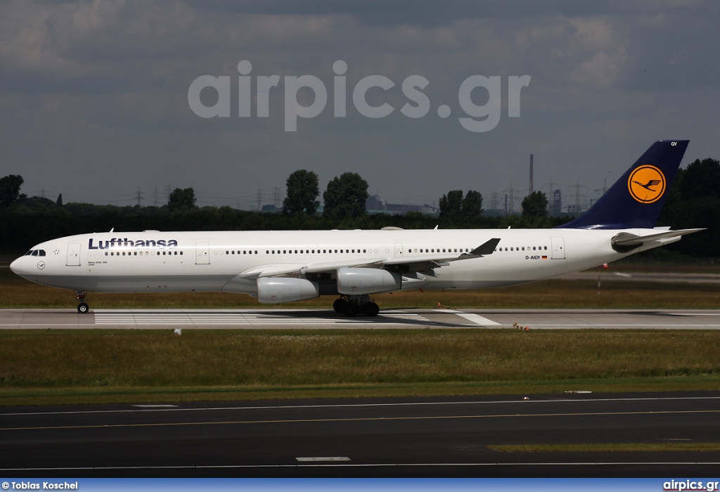 D-AIGY, Airbus A340-300, Lufthansa