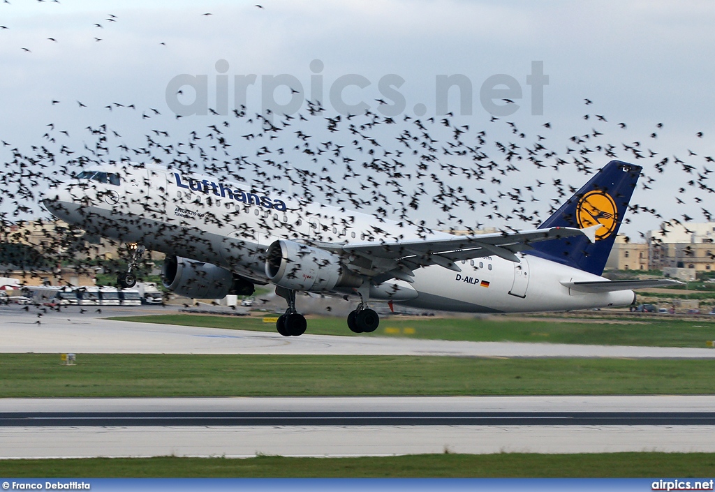 D-AILP, Airbus A319-100, Lufthansa