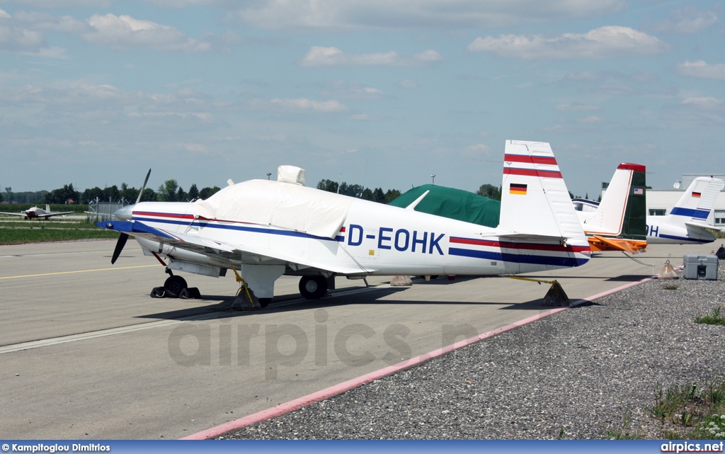 D-EOHK, Mooney M20-C Ranger, Private