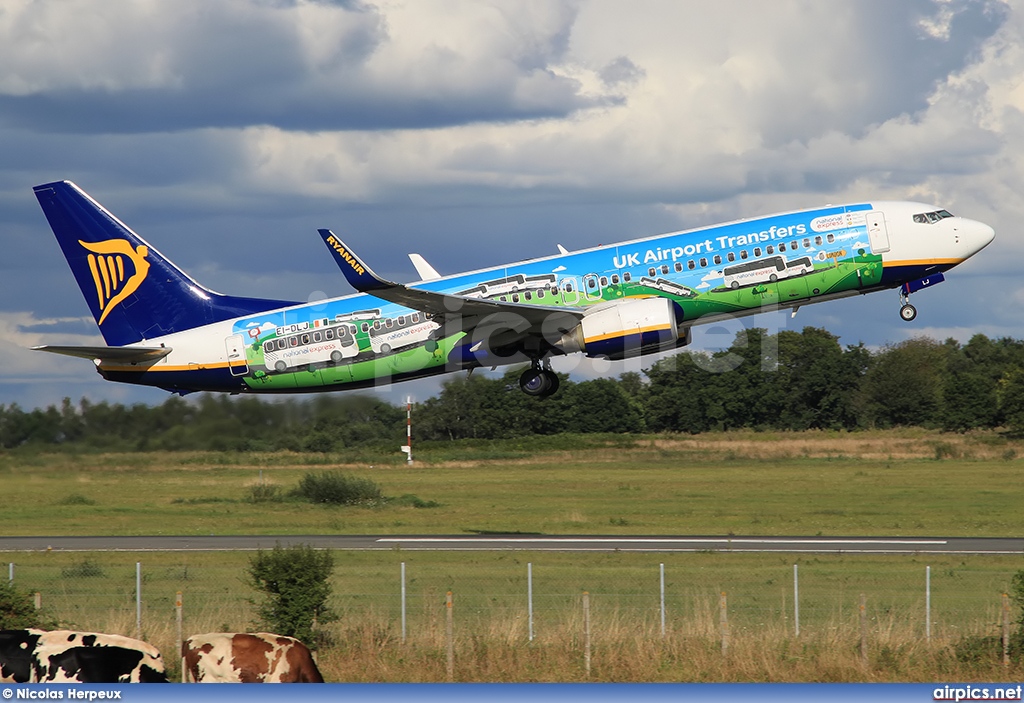 EI-DLJ, Boeing 737-800, Ryanair