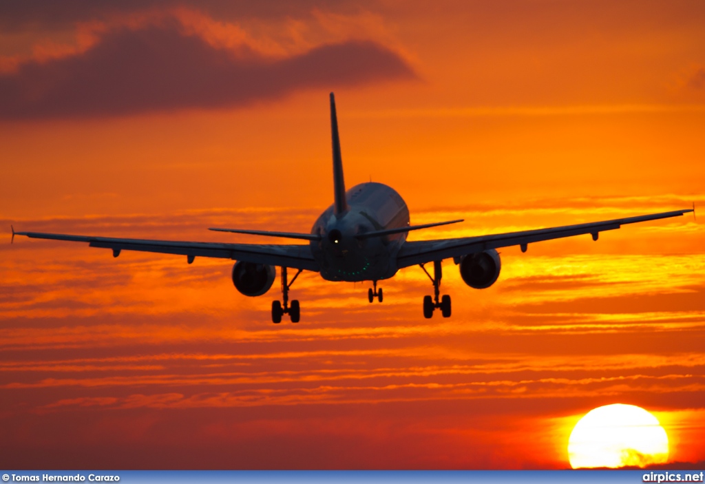 EI-IML, Airbus A319-100, Alitalia