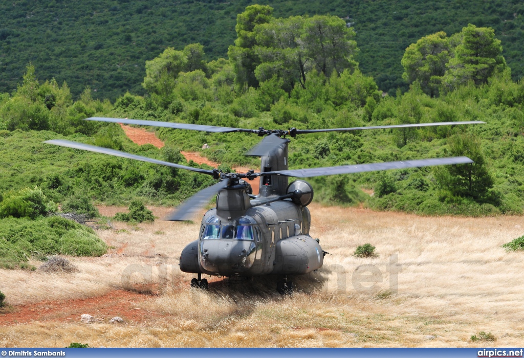 ES901, Boeing CH-47D Chinook, Hellenic Army Aviation