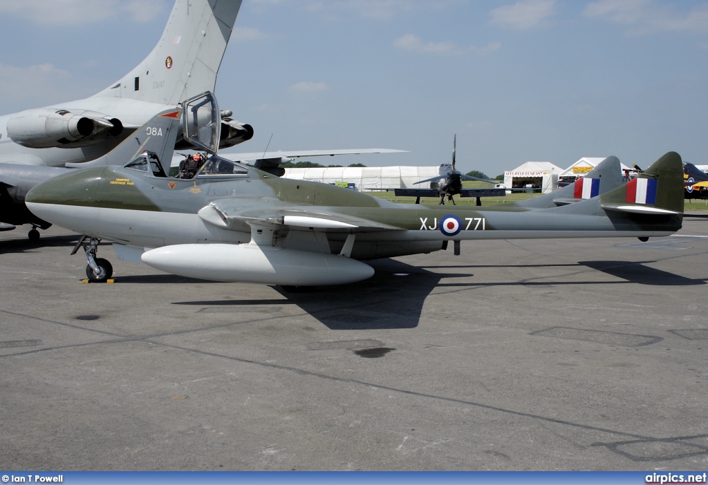 G-HELV, De Havilland DH-115 Vampire T.55, Private