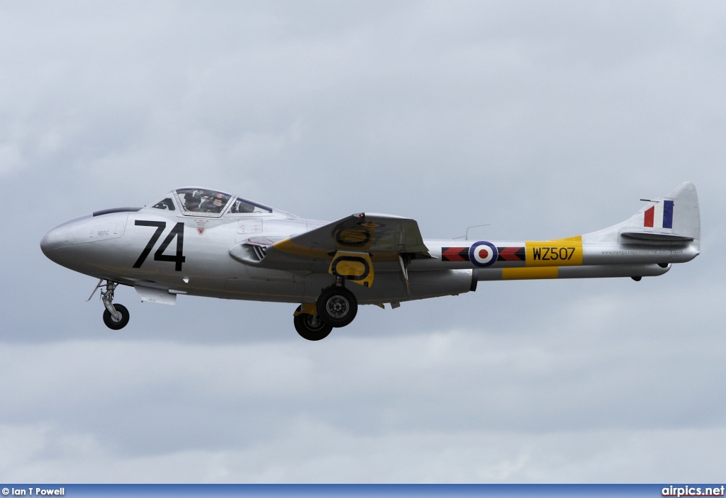 G-VTII, De Havilland DH-115 Vampire T.11, Private