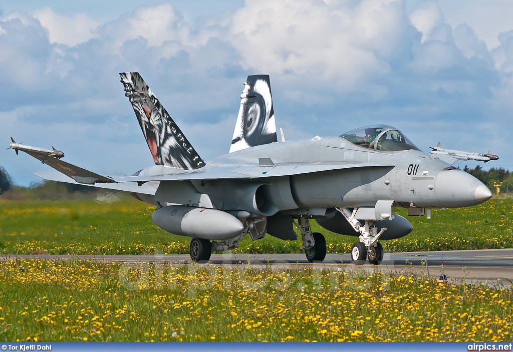 J-5011, Boeing (McDonnell Douglas) F/A-18C Hornet, Swiss Air Force