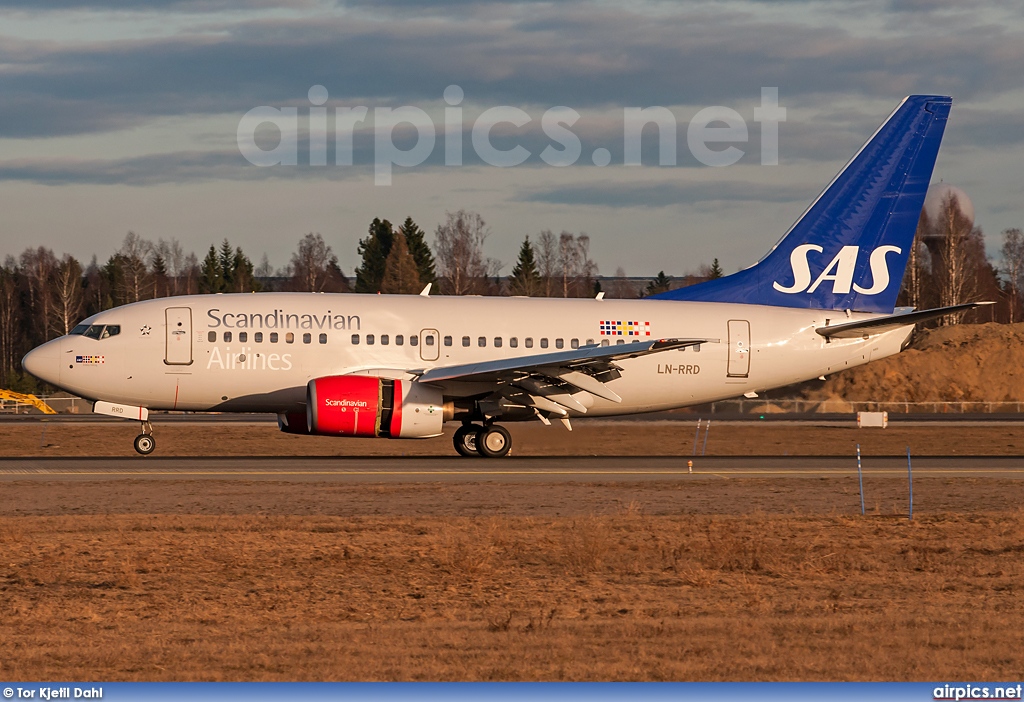 LN-RRD, Boeing 737-600, Scandinavian Airlines System (SAS)