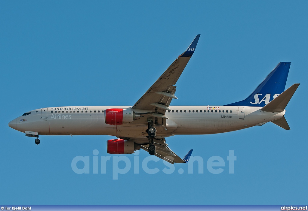 LN-RRH, Boeing 737-800, Scandinavian Airlines System (SAS)