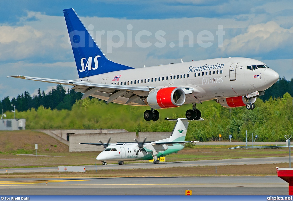 LN-RRY, Boeing 737-600, SAS Norge