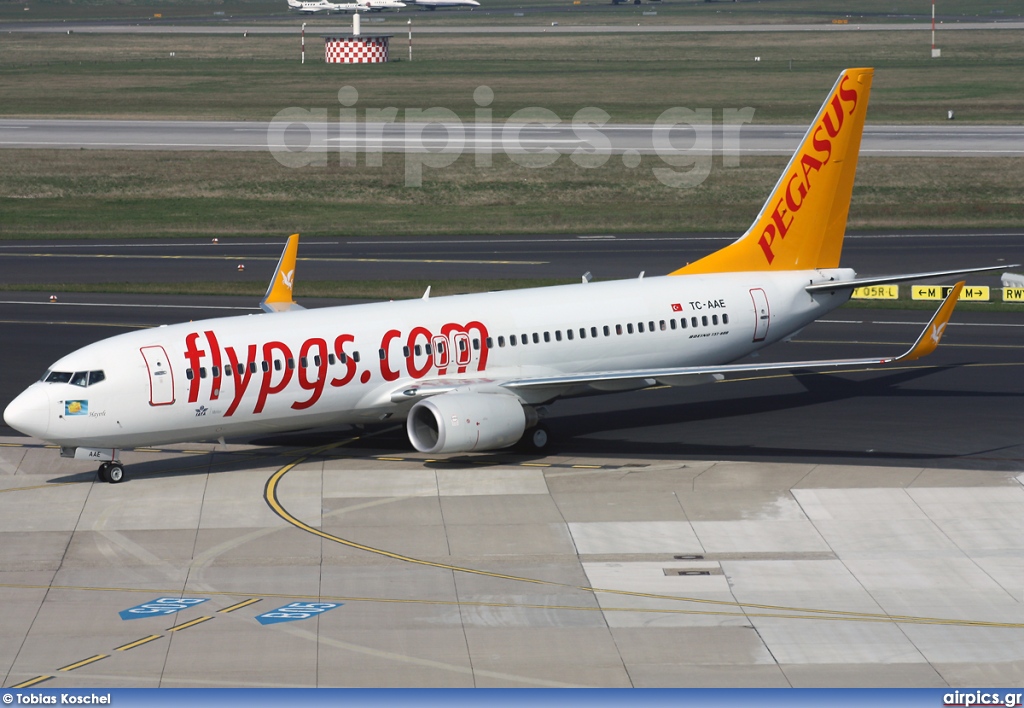 TC-AAE, Boeing 737-800, Pegasus Airlines