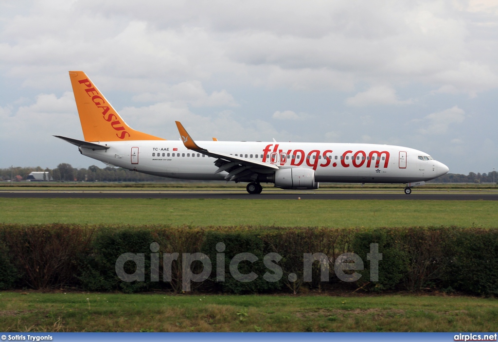 TC-AAE, Boeing 737-800, Pegasus Airlines