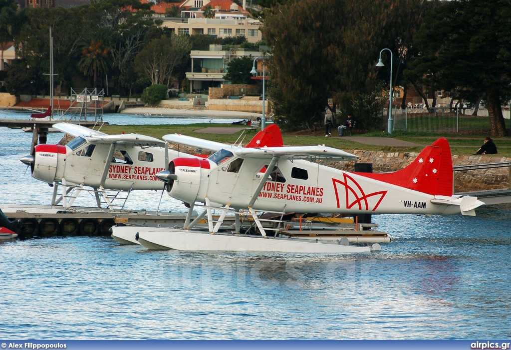 VH-AAM, De Havilland Canada DHC-2 Beaver, Sydney Seaplanes