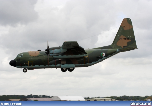 7T-WHE, Lockheed C-130H Hercules, Algerian Air Force