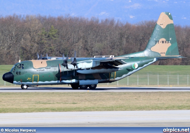 7T-WHJ, Lockheed C-130H Hercules, Algerian Air Force