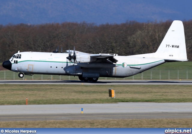 7T-WHM, Lockheed C-130H-30 Hercules, Algerian Air Force