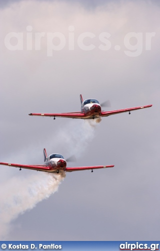 Alpi Aviation Pioneer 300 Hawk, Pioneer Team