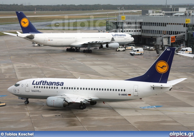 D-ABXO, Boeing 737-300, Lufthansa