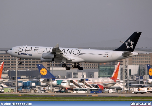 D-AIGC, Airbus A340-300, Lufthansa