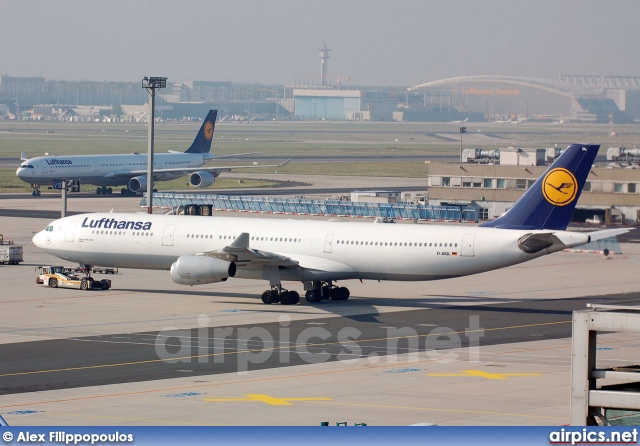 D-AIGL, Airbus A340-300, Lufthansa