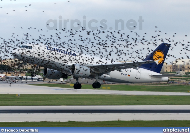 D-AILP, Airbus A319-100, Lufthansa