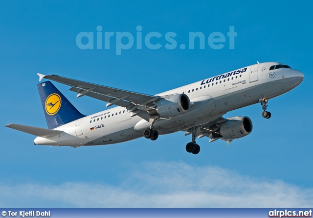 D-AIQE, Airbus A320-200, Lufthansa