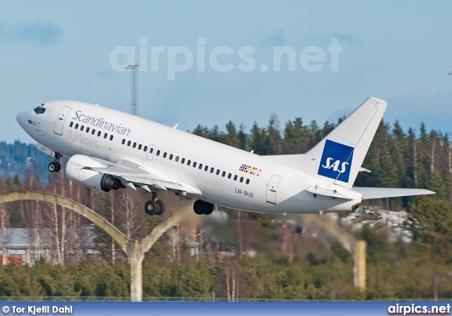 LN-BUD, Boeing 737-500, Scandinavian Airlines System (SAS)