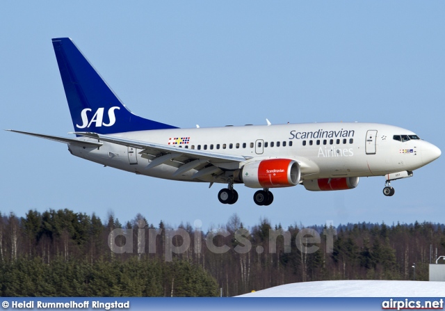 LN-RRY, Boeing 737-600, SAS Norge