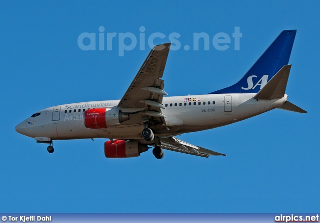 SE-DOR, Boeing 737-600, Scandinavian Airlines System (SAS)