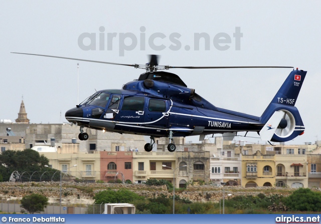TS-HSF, Aerospatiale (Eurocopter) AS 365-N2 Dauphin, Tunisavia