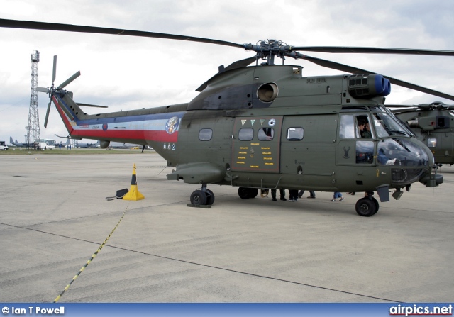 ZJ954, Westland Puma HC.1, Royal Air Force