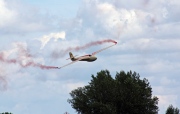 D-1901, DFS HabichtPrivate